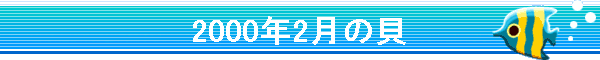 2000年2月の貝