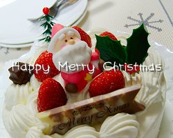 Happy Merry Christmas!