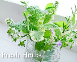 Fresh Herbs